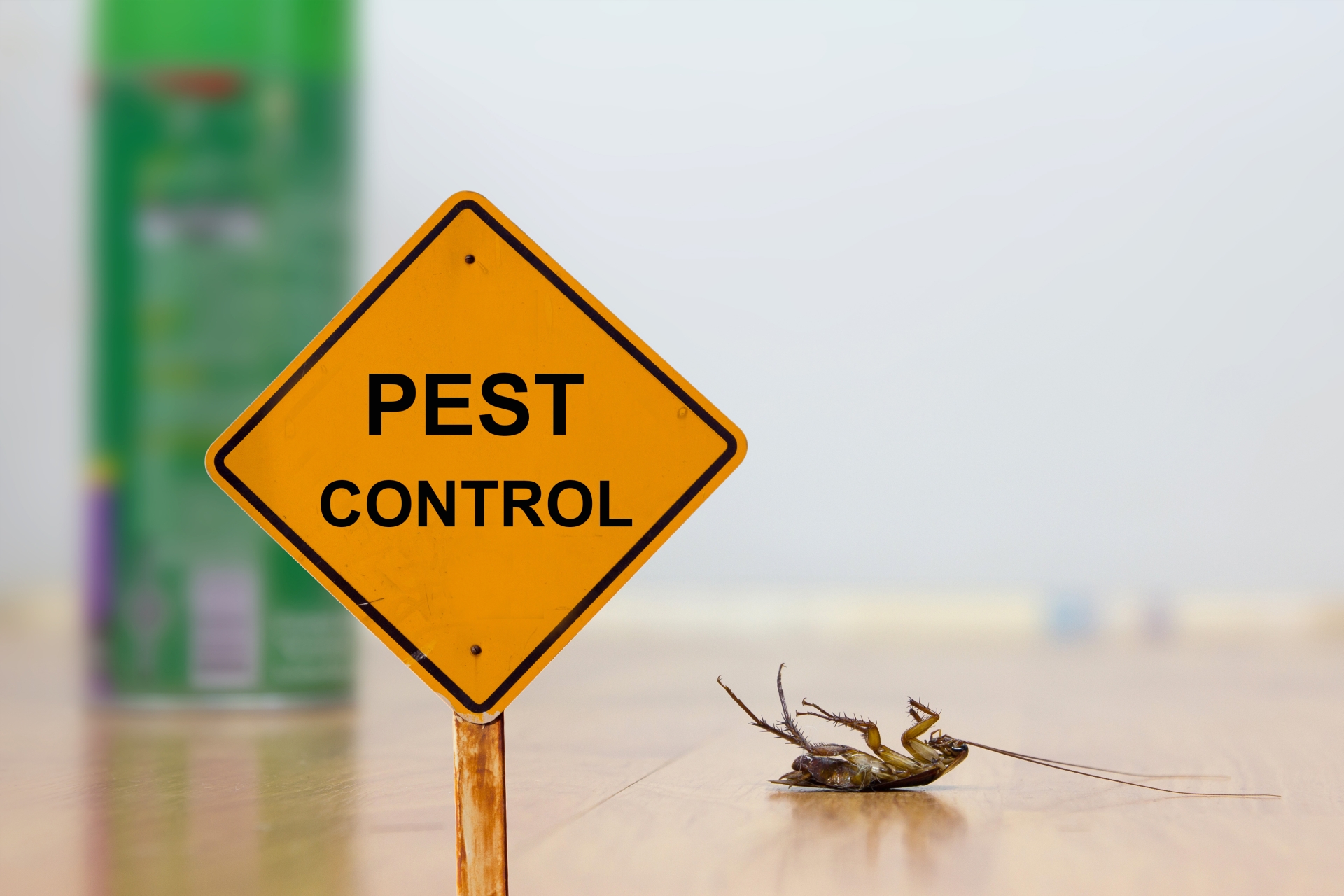 24 Hour Pest Control, Pest Control in West Byfleet, Byfleet, KT14. Call Now 020 8166 9746