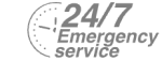 24/7 Emergency Service Pest Control in West Byfleet, Byfleet, KT14. Call Now! 020 8166 9746